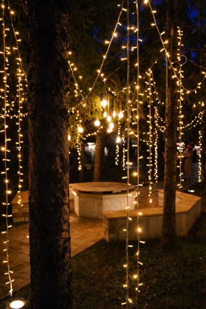 Percorso illuminato con catene di luci calde tra gli alberi per matrimonio serale all’aperto