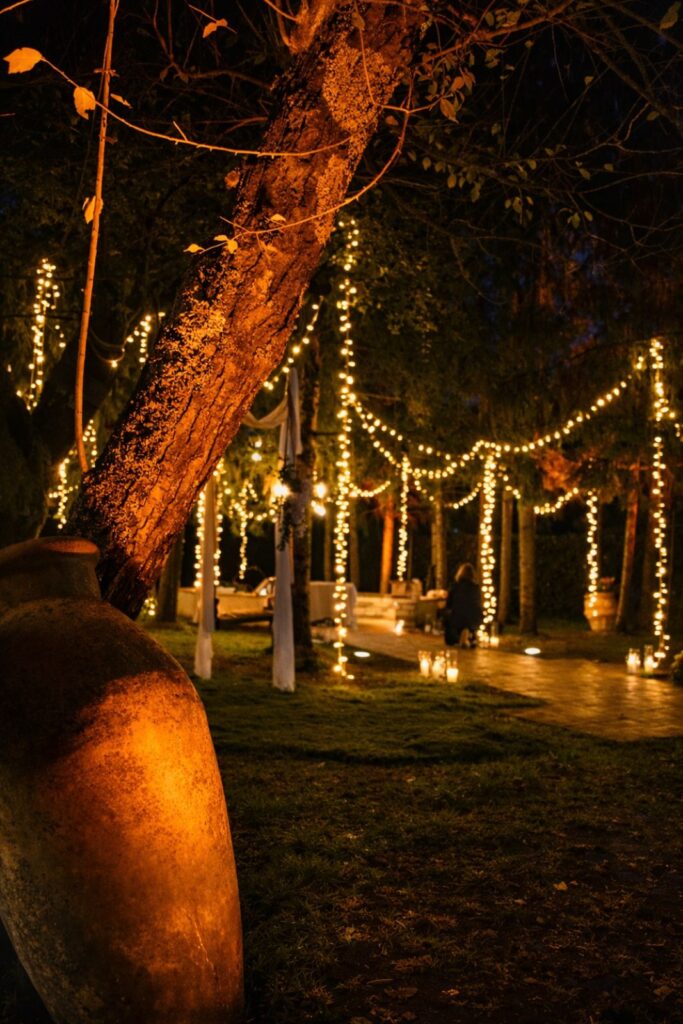 Percorso illuminato con catene di luci calde tra gli alberi per matrimonio serale all’aperto